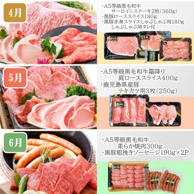定期便(1年で10回配送)枕崎お楽しみ便(A5等級黒毛和牛・黒豚・黒豚加工品etc) II-6002【配送不可地域：離島】