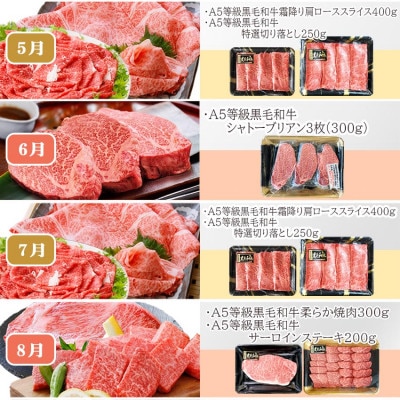 定期便(12回)鹿児島県産A5等級黒毛和牛三昧 JJ-0017【配送不可地域：離島】