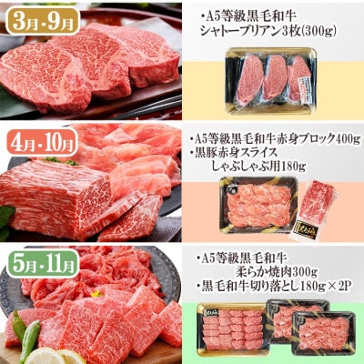 定期便(5回配送)A5等級黒毛和牛シャトーブリアン・サーロインステーキetc GG-0030【配送不可地域：離島】