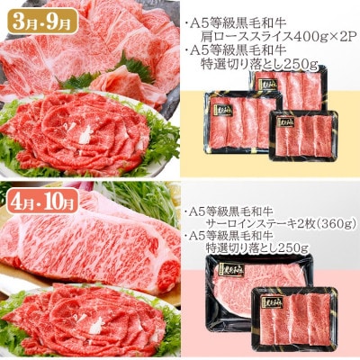 定期便(6回配送)A5等級鹿児島県産黒毛和牛三昧 II-0016【配送不可地域：離島】