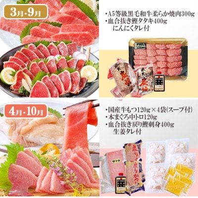 定期便(6回)枕崎お楽しみ便(黒毛和牛・まぐろ・かつおetc) GG-0046【配送不可地域：離島】