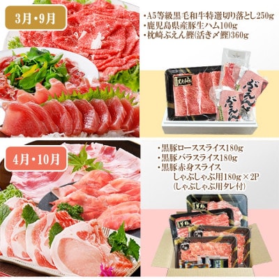 定期便(6回)A5等級黒毛和牛・黒豚・かつお・まぐろ FF-0058【配送不可地域：離島】