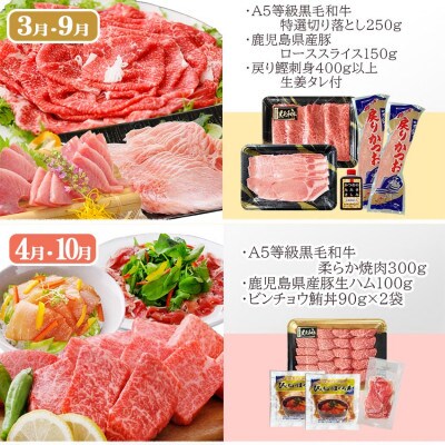 定期便(6回)お楽しみ便(A5等級黒毛和牛・黒豚・海鮮・さつま揚げ等)GG-0052【配送不可地域：離島】