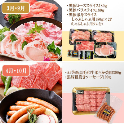 定期便(6回)A5・A4等級黒毛和牛・黒豚etc FF-0061【配送不可地域：離島】