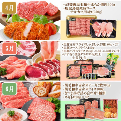 定期便(10回)枕崎お楽しみ便(黒毛和牛・黒豚・まぐろ・かつお・さつまあげ等)II-0025【配送不可地域：離島】