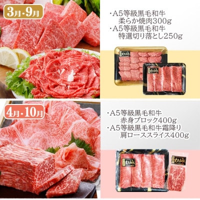 定期便(6回)鹿児島県産A5等級黒毛和牛シャトーブリアン・サーロインステーキetc　HH-6001【配送不可地域：離島】