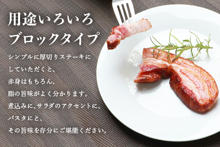 枕崎産黒豚 鹿籠豚の旨味たっぷりベーコンブロック【500g】 A8-2【配送不可地域：離島】