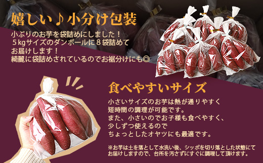 シルクスイート 小分け8袋入り 小ぶりサイズ さつまいも 鹿児島県 A2-4【配送不可地域：離島】