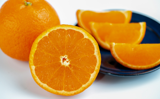 【数量限定】鹿児島県枕崎産 山下農園の濃密こだわりたんかん A5-16【配送不可地域：離島】