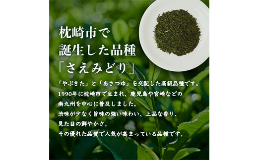 1番茶(新芽)のみを使用 有機煎茶【さえみどり】KAORU園 (100g×2本) A6-118【配送不可地域：離島】