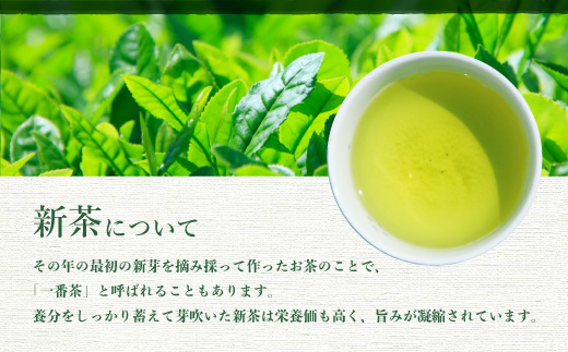 【新茶】新茶80g×5本 深蒸し茶 鹿児島県 枕崎産 産地直送 A8-72【配送不可地域：離島】