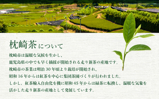 【新茶】2024新茶　特上煎茶 80g×3本 A8-73【配送不可地域：離島】