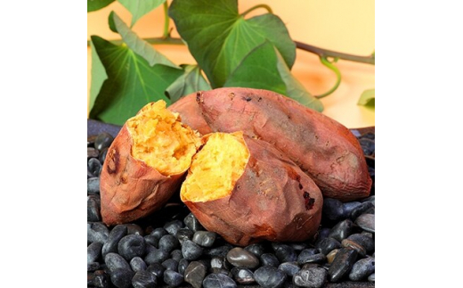 本場鹿児島さつまいも 【安納蜜】6kg　2025年10月より発送A3-55【配送不可地域：離島】