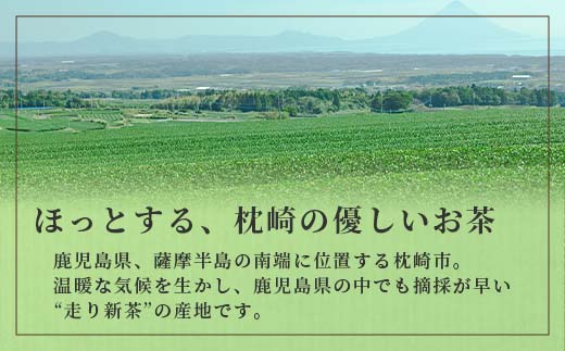【お歳暮・のし付き】「天然玉露あさつゆ」緑茶ティーバッグ(5g×25P)×6袋 A8-86S【配送不可地域：離島】
