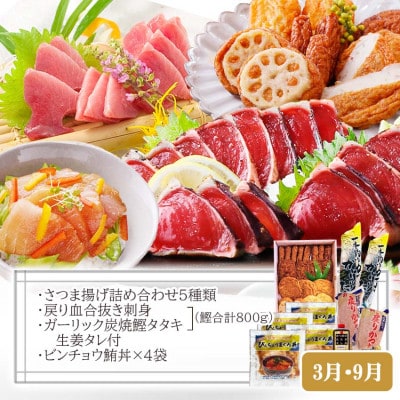 定期便(半年で3回)さつま揚げ＆鮮度抜群な一本釣りかつお・まぐろ LL-6007【配送不可地域：離島】