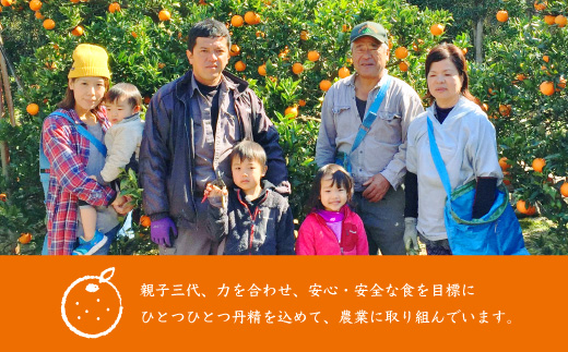 【2Lサイズ 】南国特産もぎたて たんかん 5kg【先行受付】2月下旬より順次発送 A8-122【配送不可地域：離島】