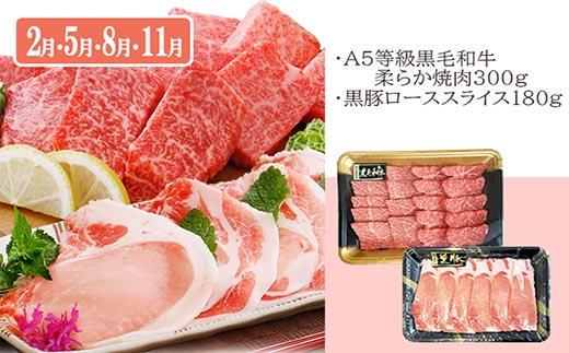 定期便(3回配送)鹿児島産A5等級黒毛和牛＆黒豚 EE-6014【配送不可地域：離島】