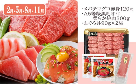 定期便3回配送　お楽しみ定期便(鹿児島県産お肉とかつお・まぐろ) EE-6015【配送不可地域：離島】