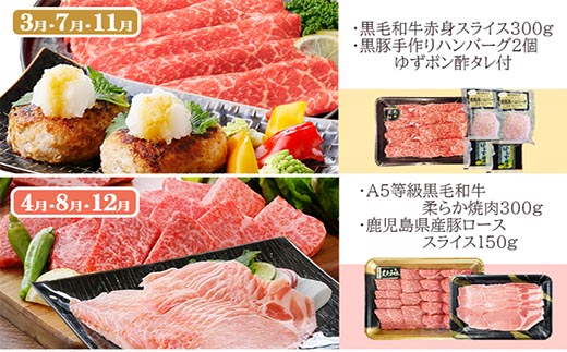 定期便4回配送　肉の定期便 EE-6016【配送不可地域：離島】