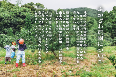 【母の日】ふかざわ農園の梅シロップ 手づくり シロップ ジュース 希釈用 A3-27M【配送不可地域：離島】