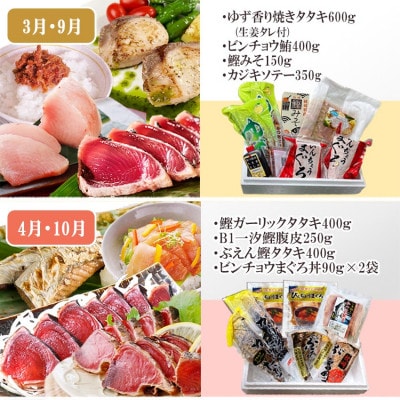 枕崎・お魚よりどり詰め合わせ定期便(6回配送)　FF-6005【配送不可地域：離島】