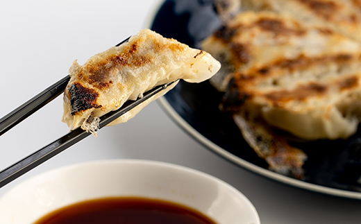 かご豚餃子5袋セット【計60個】 A3-335【配送不可地域：離島】