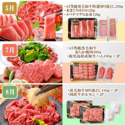 定期便8回配送　ぜいたく!!お楽しみ定期便　HH0-0001【配送不可地域：離島】