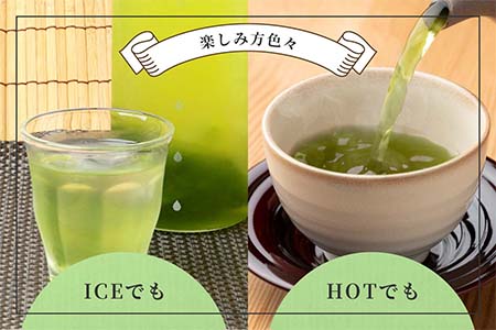 【のし付き・お中元】「天然玉露あさつゆ」緑茶ティーバッグ　水出し・お湯両用タイプ　A4-1C【配送不可地域：離島】