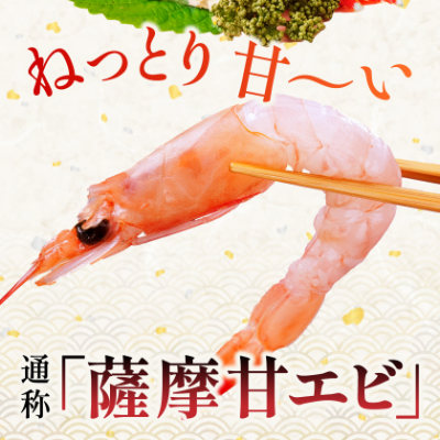 【薩摩の甘エビ】大きいサイズ　天然タカエビ500g　A1-10【配送不可地域：離島】