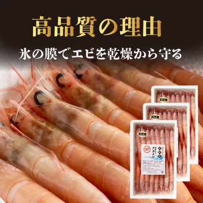 天然タカエビ250g×3箱　A1-1【配送不可地域：離島】