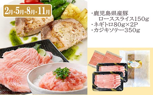 定期便3回配送　お楽しみバラエティー　OO-0004【配送不可地域：離島】