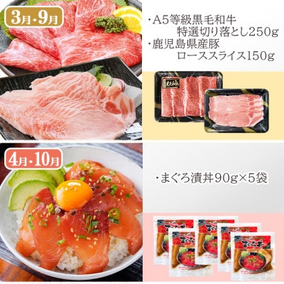 黒毛和牛・黒豚・かつお・まぐろ　充実定期便(全6回) UU-0001【配送不可地域：離島】