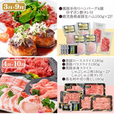 定期便(6回配送)　鹿児島県産黒毛和牛・黒豚・海の幸　HH5-0001【配送不可地域：離島】