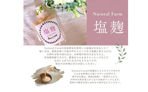 塩麹(坊津の華)1個 Y0-39【配送不可地域：離島】