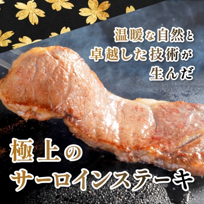 【鹿児島県産】黒毛和牛 サーロインステーキ 約510g (約170g×3枚)(枕崎市) B3-89【配送不可地域：離島】