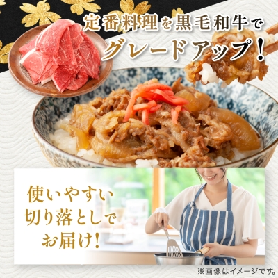 【鹿児島県産】黒毛和牛 赤身 切り落とし 1kg (500g×2)(枕崎市)  A8-111【配送不可地域：離島】