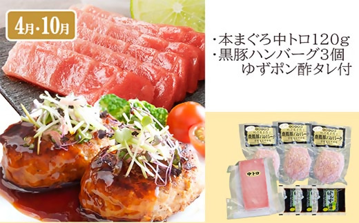 【数量限定】3回定期便　A5等級黒毛和牛・サンクショコラ　EE0-0008【配送不可地域：離島】