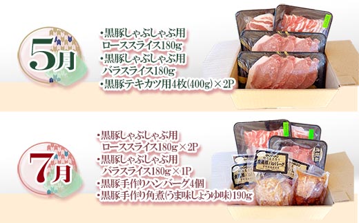 【発送月固定定期便】鹿児島県産黒豚三昧Bセット GG5-0001全6回【配送不可地域：離島】
