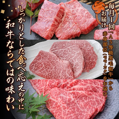 【毎月定期便】黒毛和牛厳選赤身肉定期便(枕崎市) RR-0003 全3回【配送不可地域：離島】