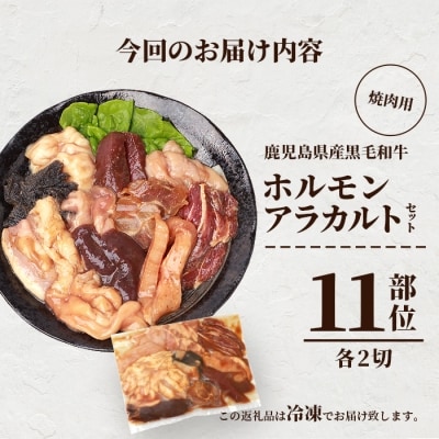 鹿児島県産黒毛和牛 ホルモン アラカルトセット 食べ比べ11部位 焼肉屋店主こだわり A3-203【配送不可地域：離島】