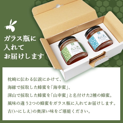 【 数量限定 】国産 生はちみつ【100%純粋】日本みつばち【非加熱・無添加の生蜂蜜】 B3-16【配送不可地域：離島】