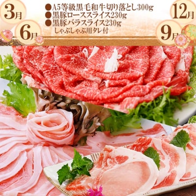 定期便(3回配送) 鹿児島産A5等級黒毛和牛＆黒豚 EE-0028【配送不可地域：離島】