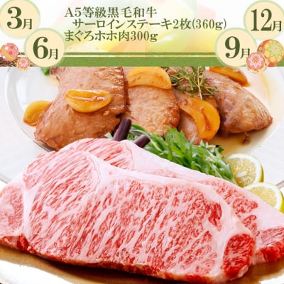 定期便(3回配送)枕崎お楽しみ便(A5等級黒毛和牛＆・豚肉・さつまあげ・まぐろ) EE-0071【配送不可地域：離島】