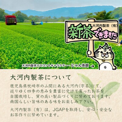 【新茶】2024新茶　特上煎茶 80g×3本 A8-73【配送不可地域：離島】