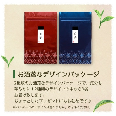 【のし付き・お歳暮】浅蒸し煎茶(100g×3袋)若蒸し煎茶 ギフト 生産者直送 枕崎市 A3-5S【配送不可地域：離島】