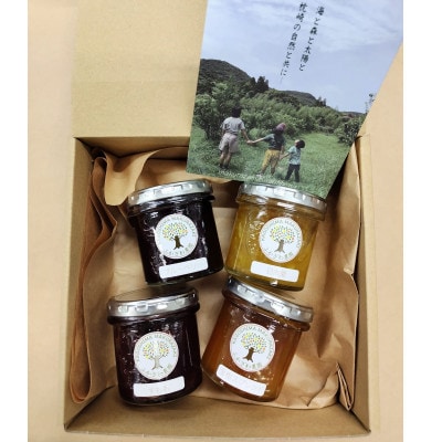 【母の日】果実たっぷり手づくりジャムセットC　A3-30M【配送不可地域：離島】