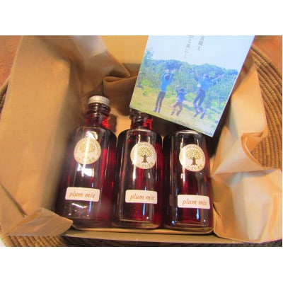 【母の日】ふかざわ農園の梅すももシロップ　A3-28M【配送不可地域：離島】