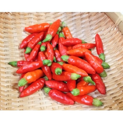 【母の日】手づくり調味セット　Z0-10M【配送不可地域：離島】