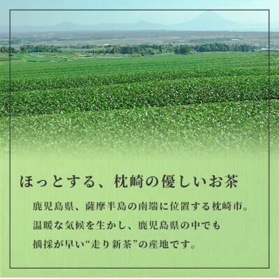 【父の日】「天然玉露あさつゆ」緑茶ティーバッグ(5g×25P)×6袋 A8-86F【配送不可地域：離島】