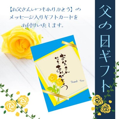 【父の日】鹿児島限定芋焼酎「南之方」＆さつまあげ・そのまま食べるかつおスライス A3-148F【配送不可地域：離島】